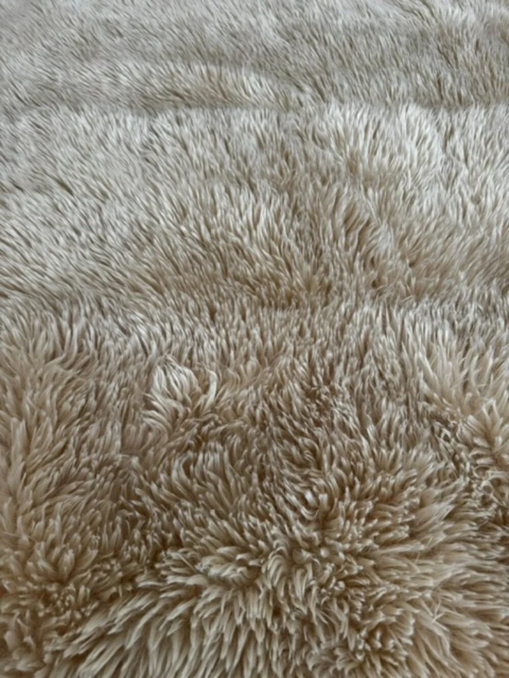 Pottery Barn Luxe Faux Fur Throw 50